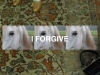I-FORGIVE